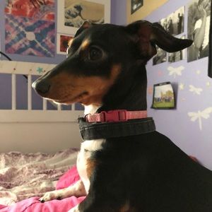 Meet your Posher, Emma